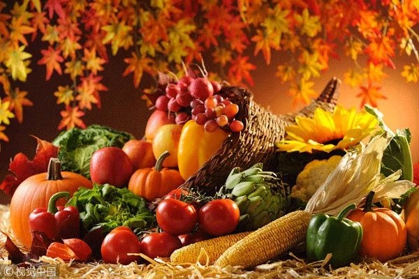 秋天好干燥，怎么吃才好？這份養(yǎng)生攻略請收好