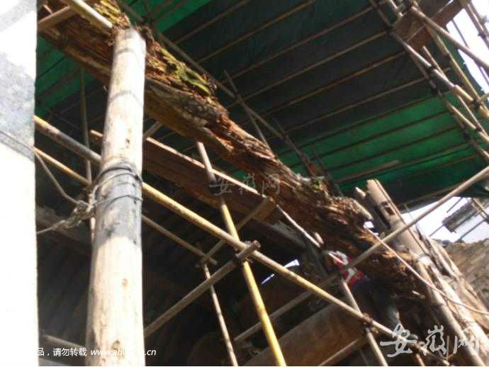 QQ圖片20180719123933