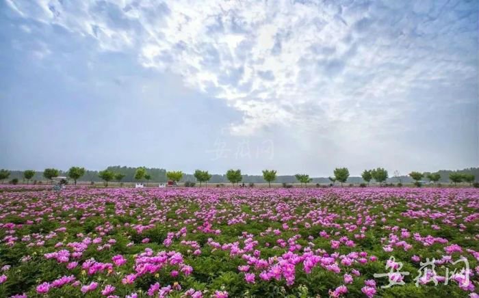 TIM圖片20190425111252