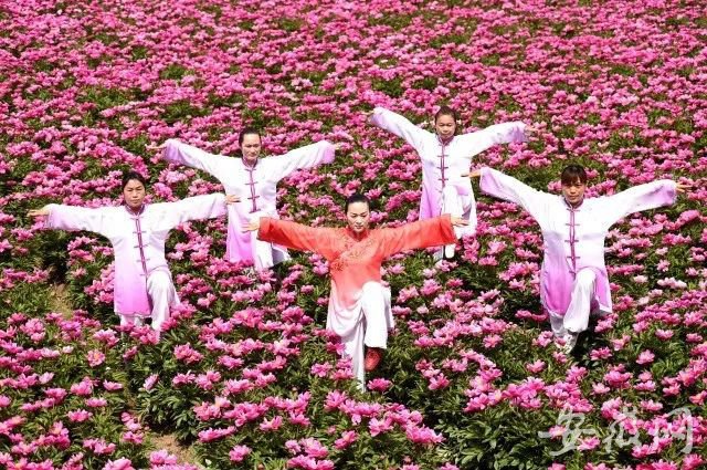 TIM圖片20190425111327